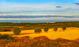 1000103165.Warmia