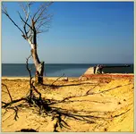 4702 fotografia ...już tu była 15 lat temu