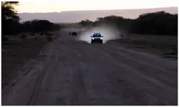 uwaga na wolne nosorożce