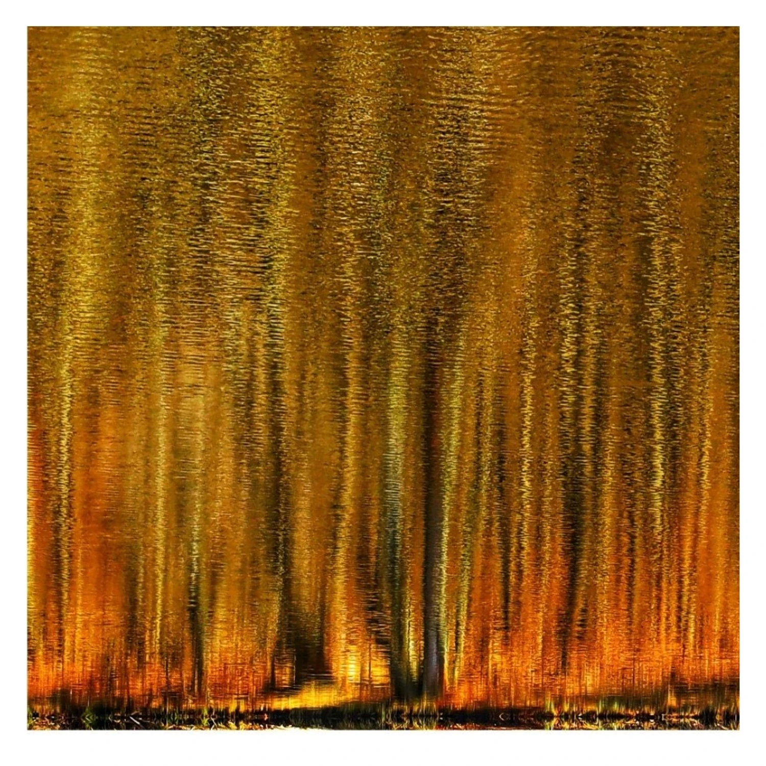 1000110079