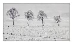 Wyszedłem ma dwór czy na pole