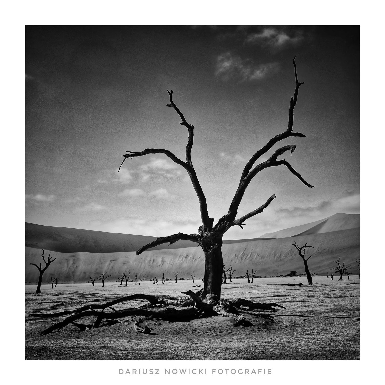 Deadvlei