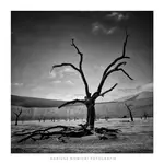 Deadvlei