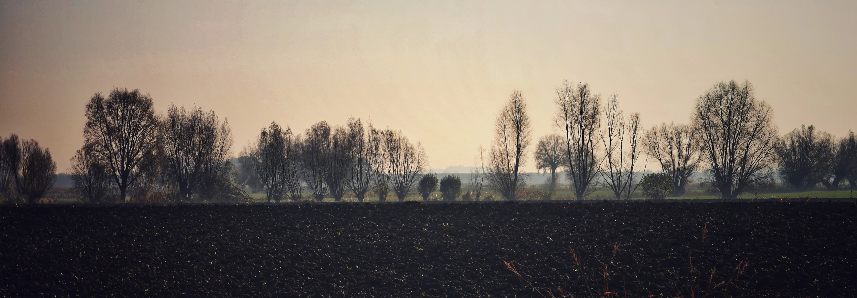 Tu gdzieś mieszka szeptucha