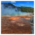 Ucho od śledzia w Yellowstone 