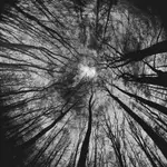 Opowiedz mnie swoją historię...