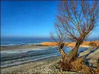 Cieniu krocz za mną