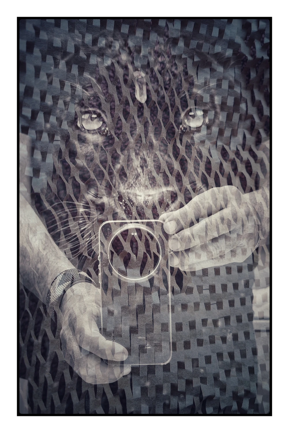 Poczułem w sobie zwierzę 