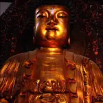 budda a czpiaja się Berkowicza