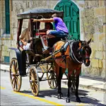 Koniowi to pokaż...