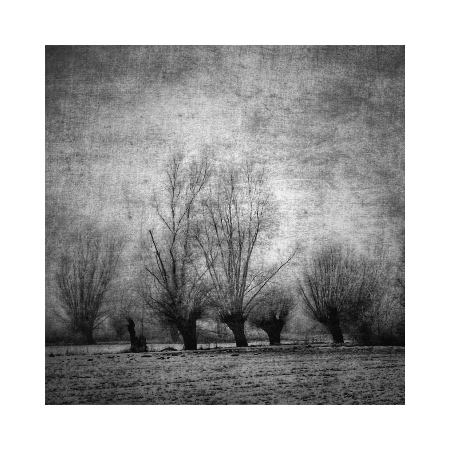 Księżyca nie wstawiałem