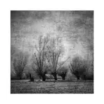 Księżyca mie wstawiałem