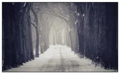 Klęska żywiołowa,...?