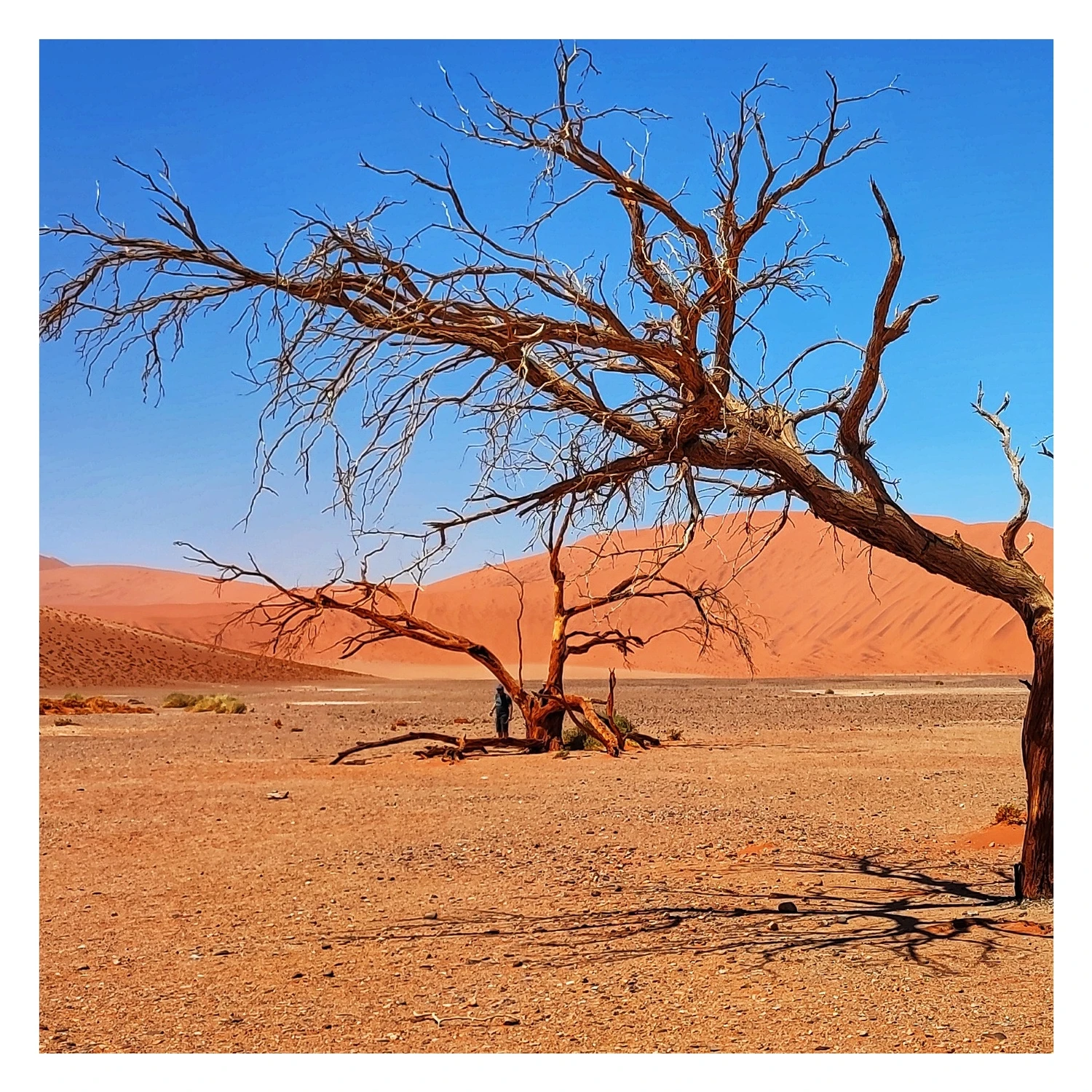 12 768,7 km od mojej wsi 