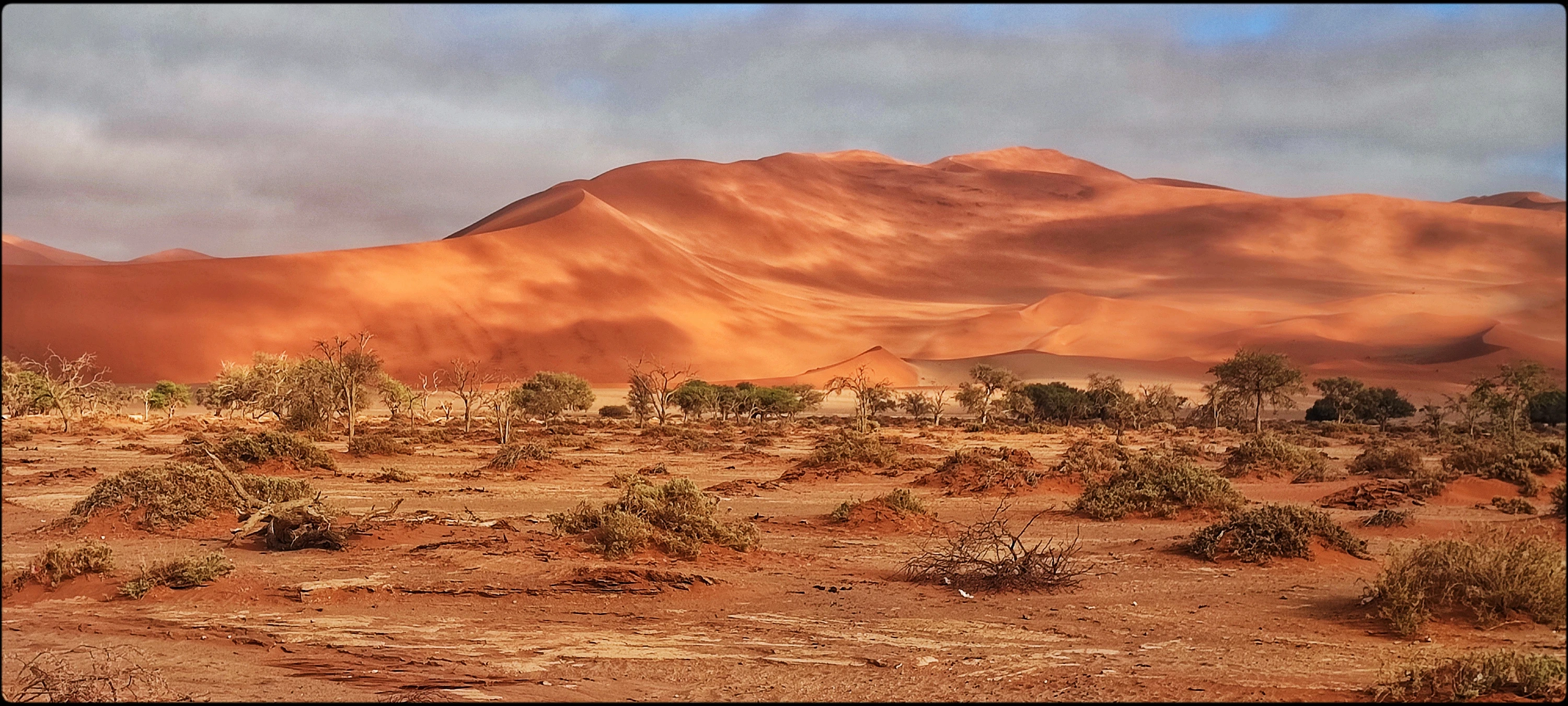 Pustnnie w środku dnia