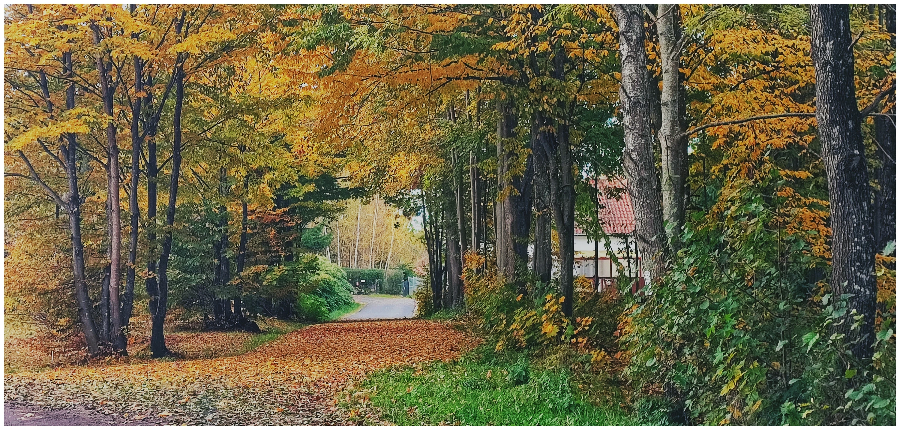 Na sąsiedniej wsi