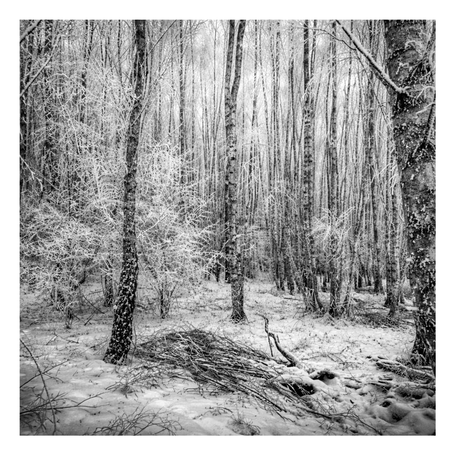 10*** czarno białe zimowe 