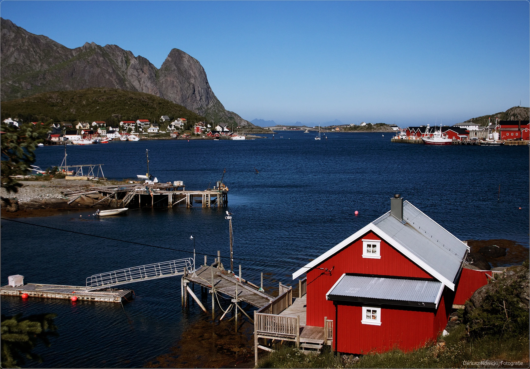 Reine