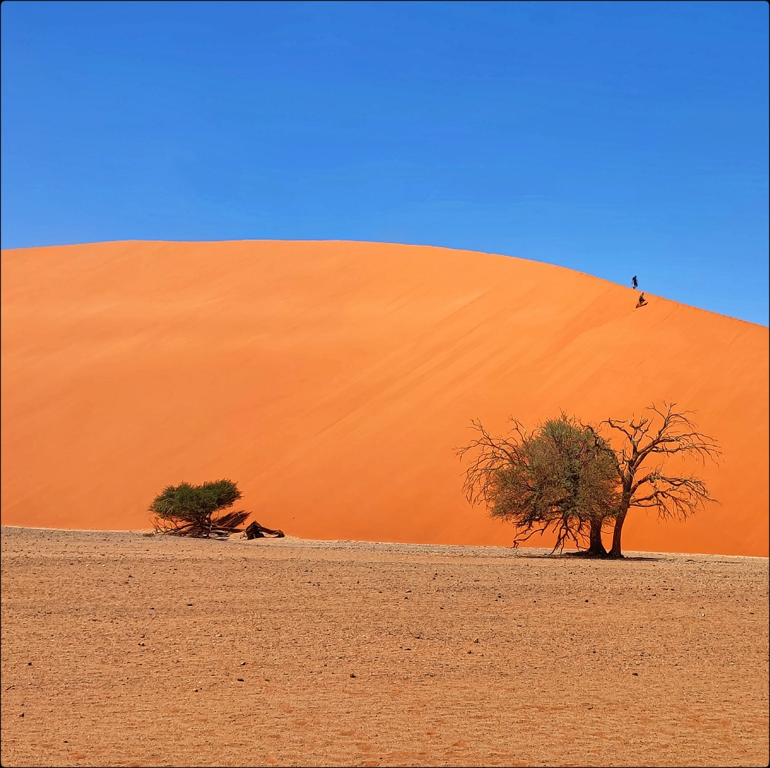 Spacerkiem po wydmie