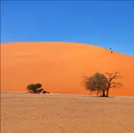 Spacerkiem po wydmie