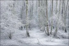 Witajcie w mojej bajce