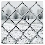 w kratkę z wierzbami