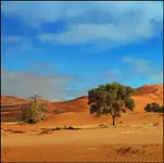 miejsca niesamowite