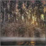 1000093323 na trasie