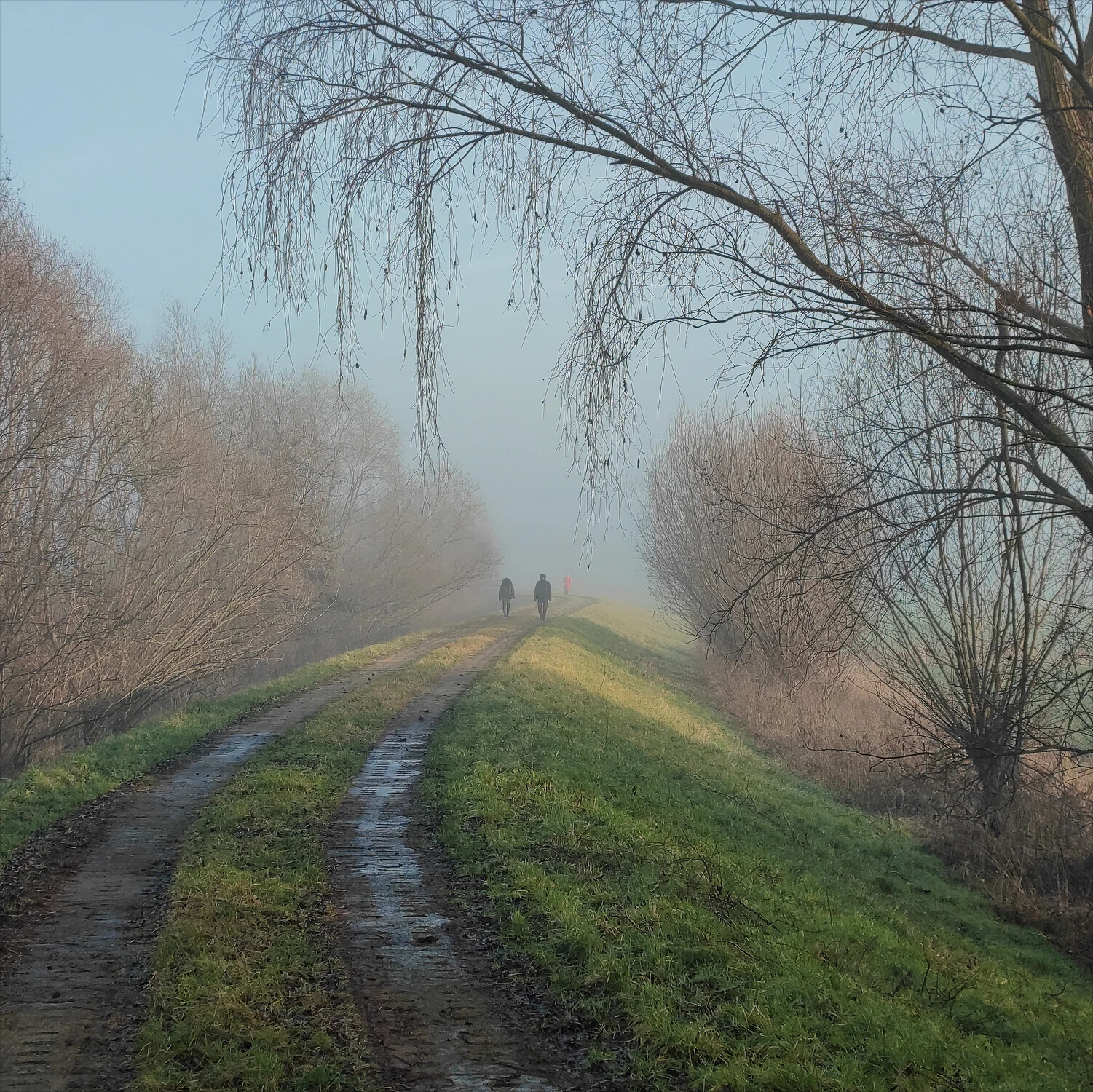 Poszukując ostrego cienia mgły...