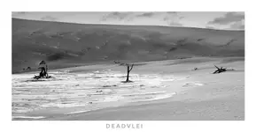 1000107477