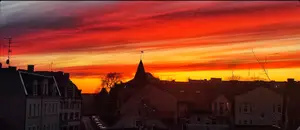 Piersze marcowe zaokienne