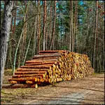 A miało być inaczej .