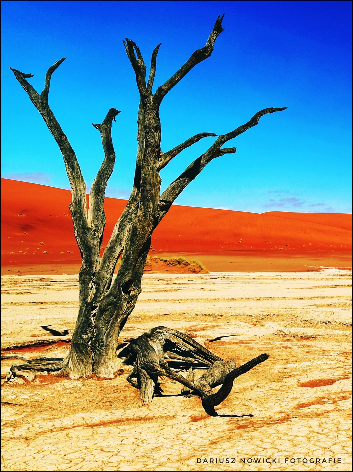 1750621205174