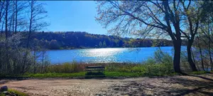 Zimne popołudnie ma wsi