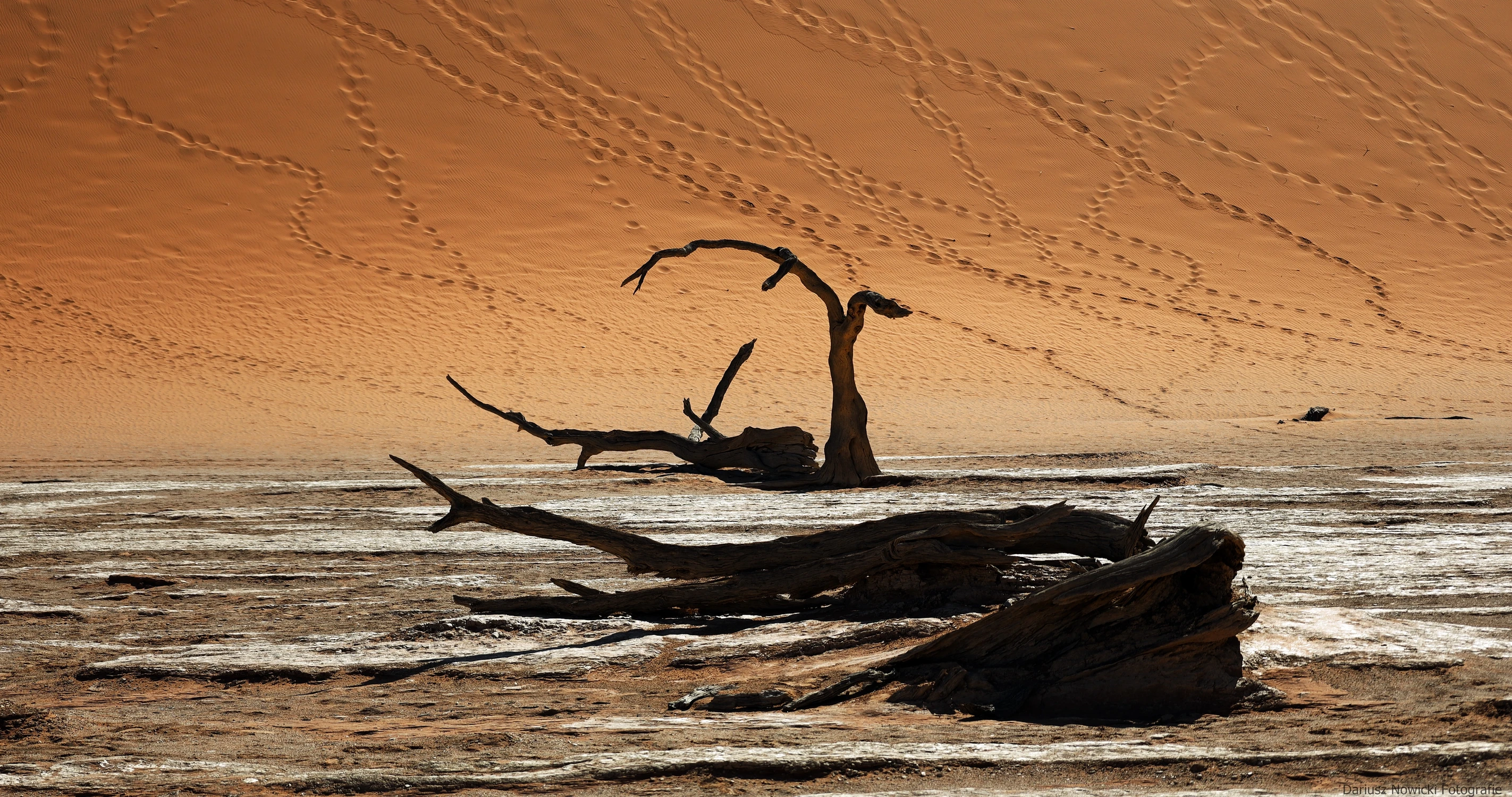 kadr poziomy albo ślady 