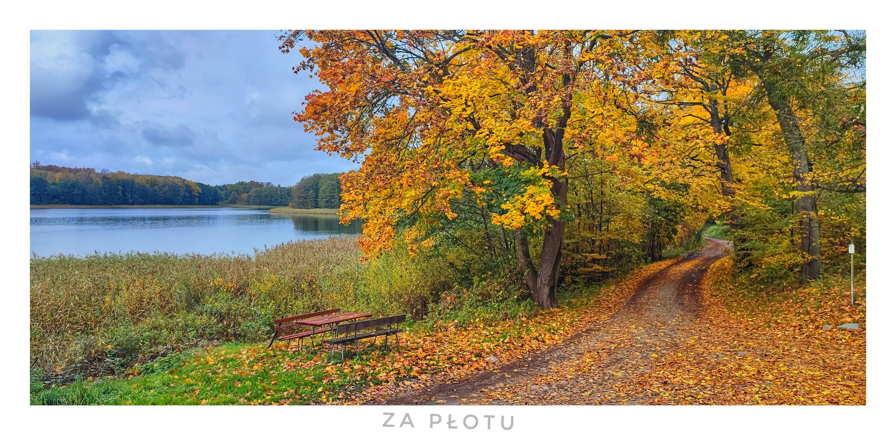 Jesień za płotem
