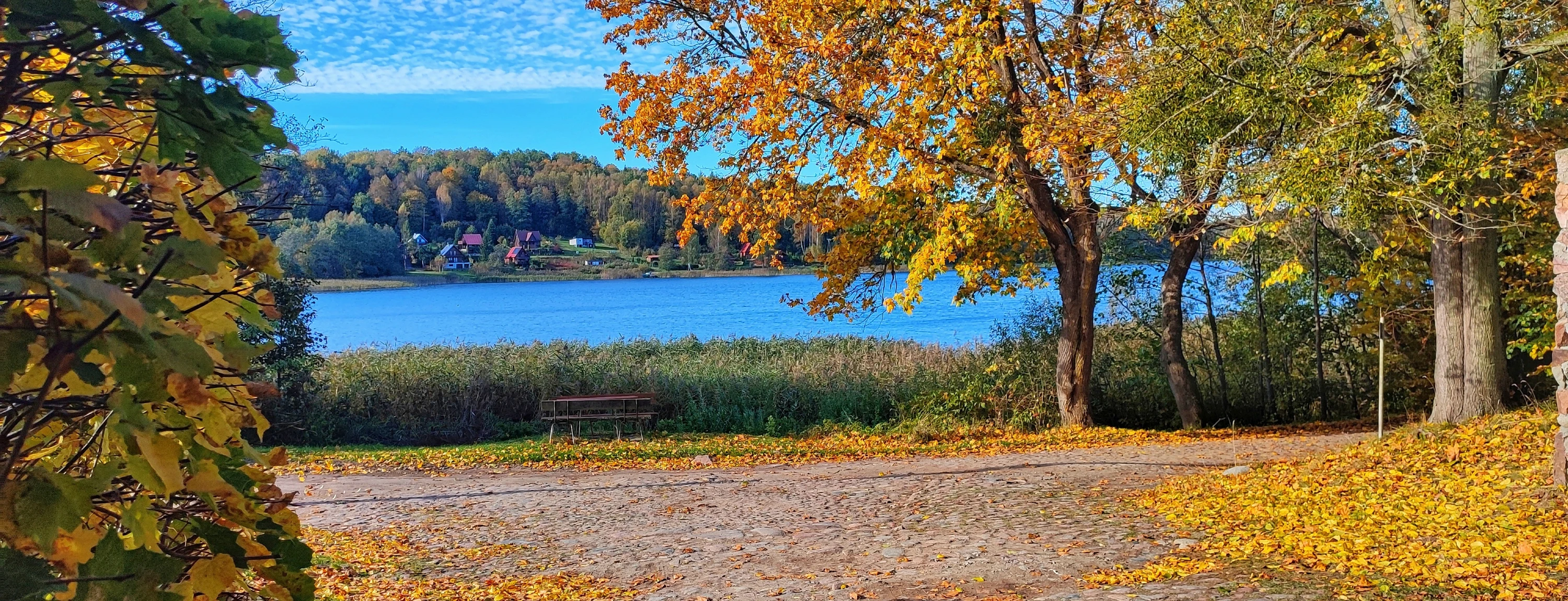 Jesienny widok na moje jezioro