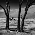 trzy z Deadvlei 