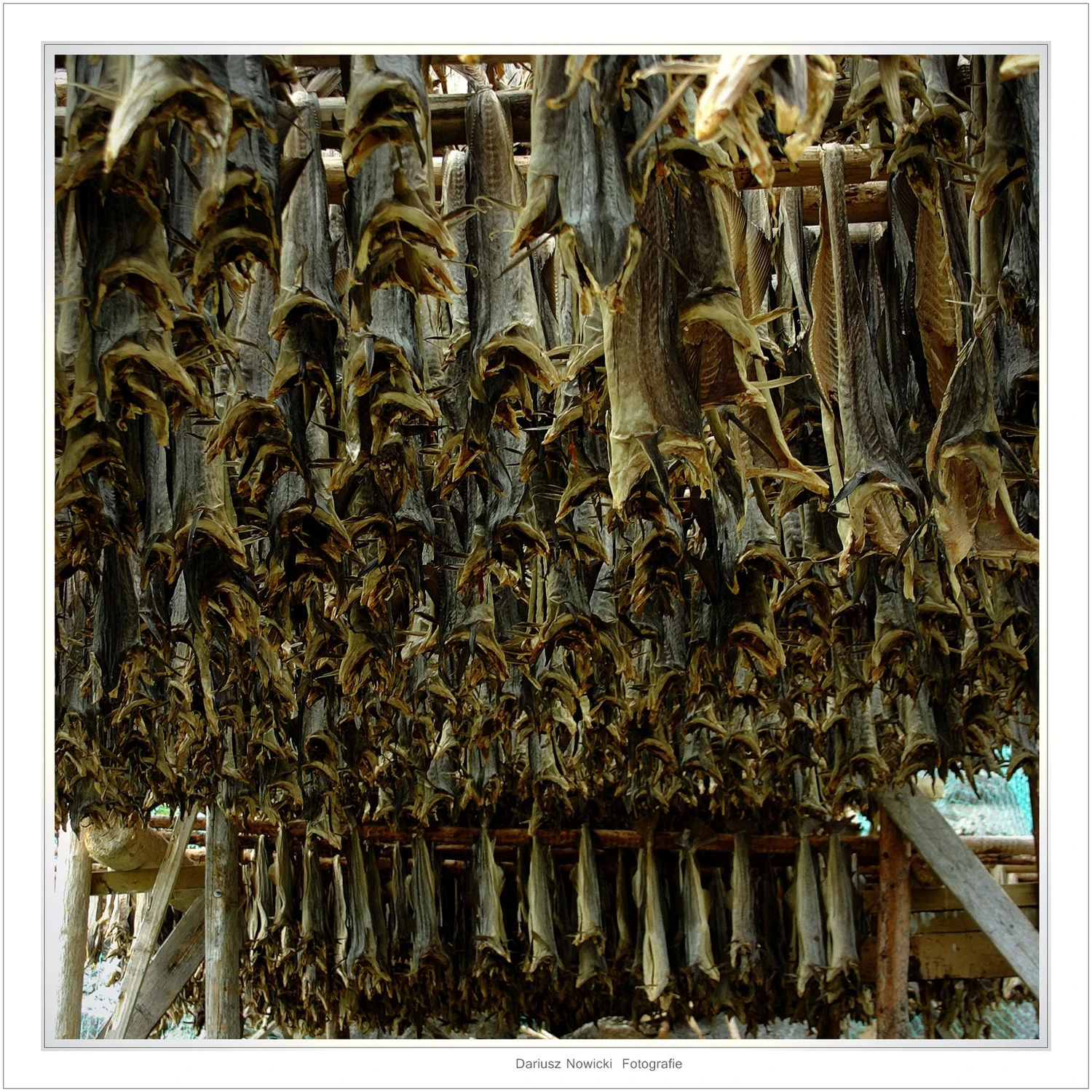 co ma wiśieć...nie utonie