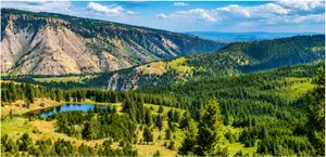 Montana