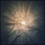 Niech światło Was prowadzi