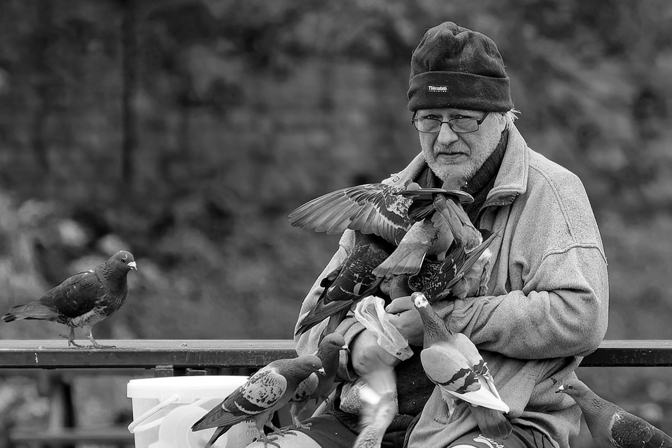 Człowiek i ptaki...