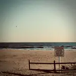 High Hopes