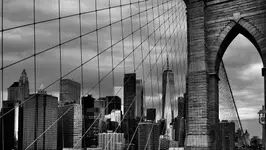 Bridging Horizons