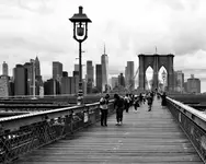Into Gotham