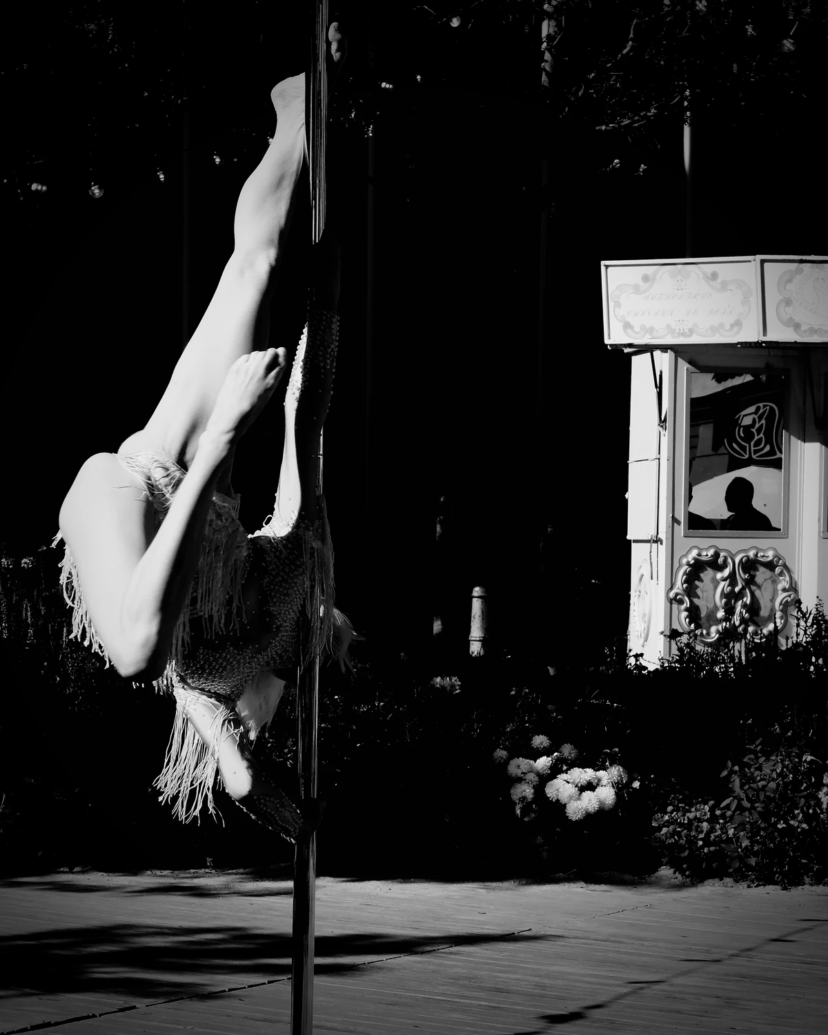 The Poetry of Balance V