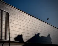 Geometria wolności