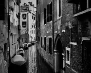 Monochrome Memories