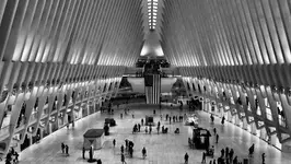 NY Oculus