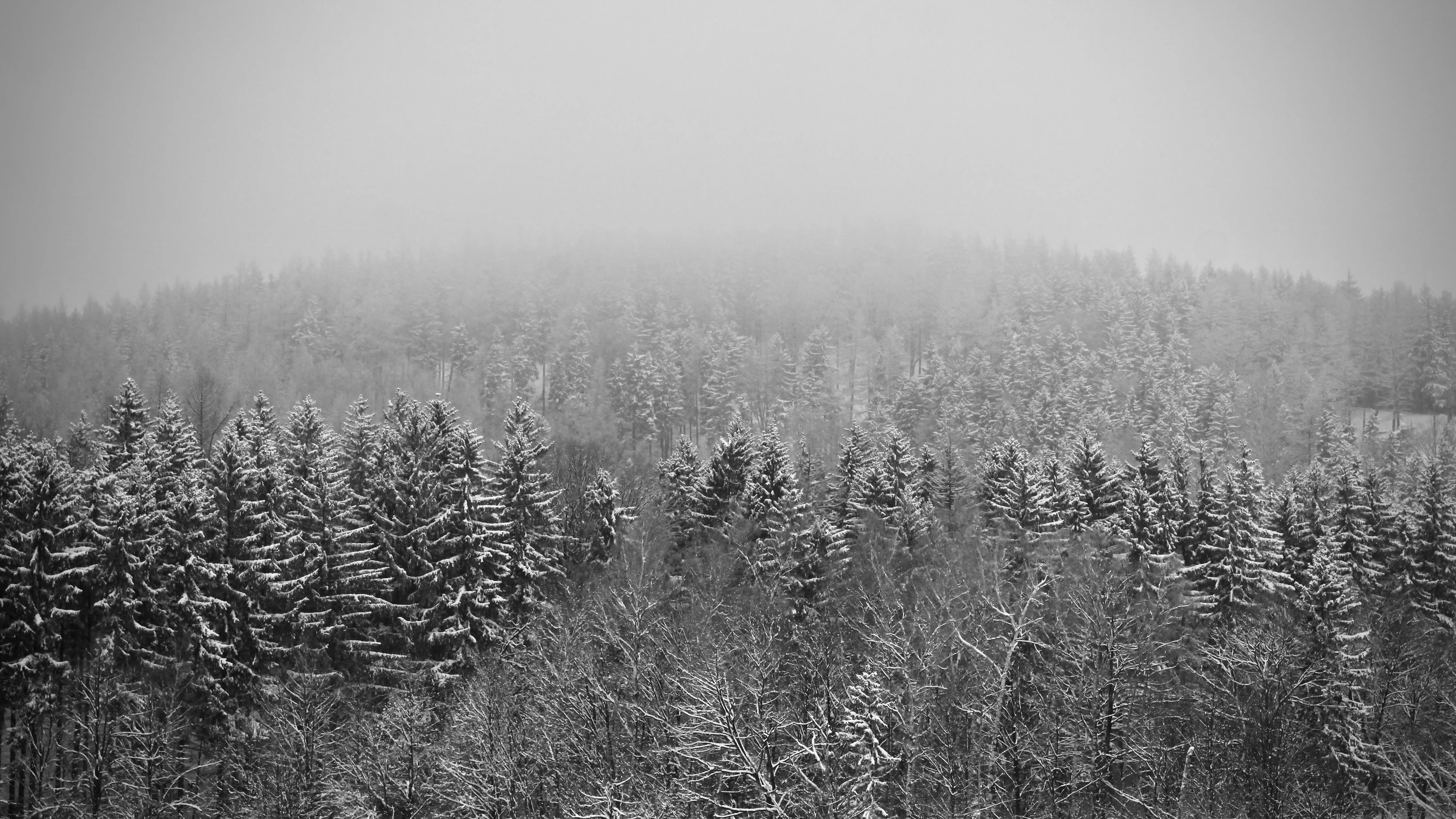 Cisza zimowego poranka